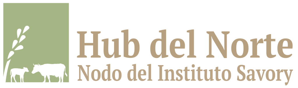 Hub del Norte