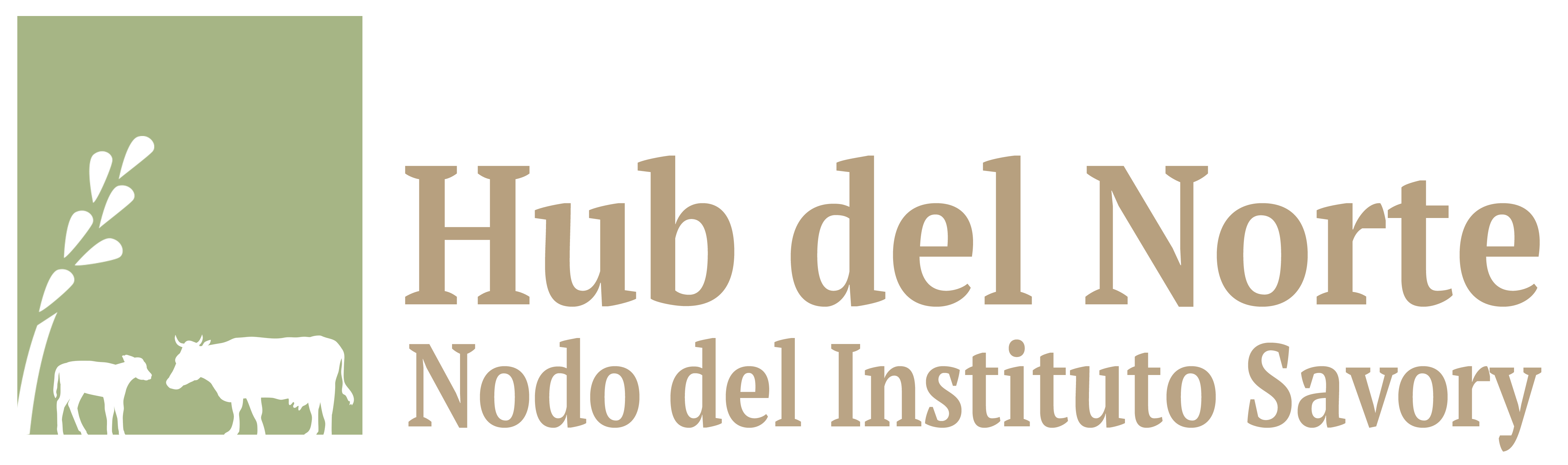 Hub del Norte